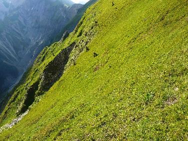 En pleine ambiance !