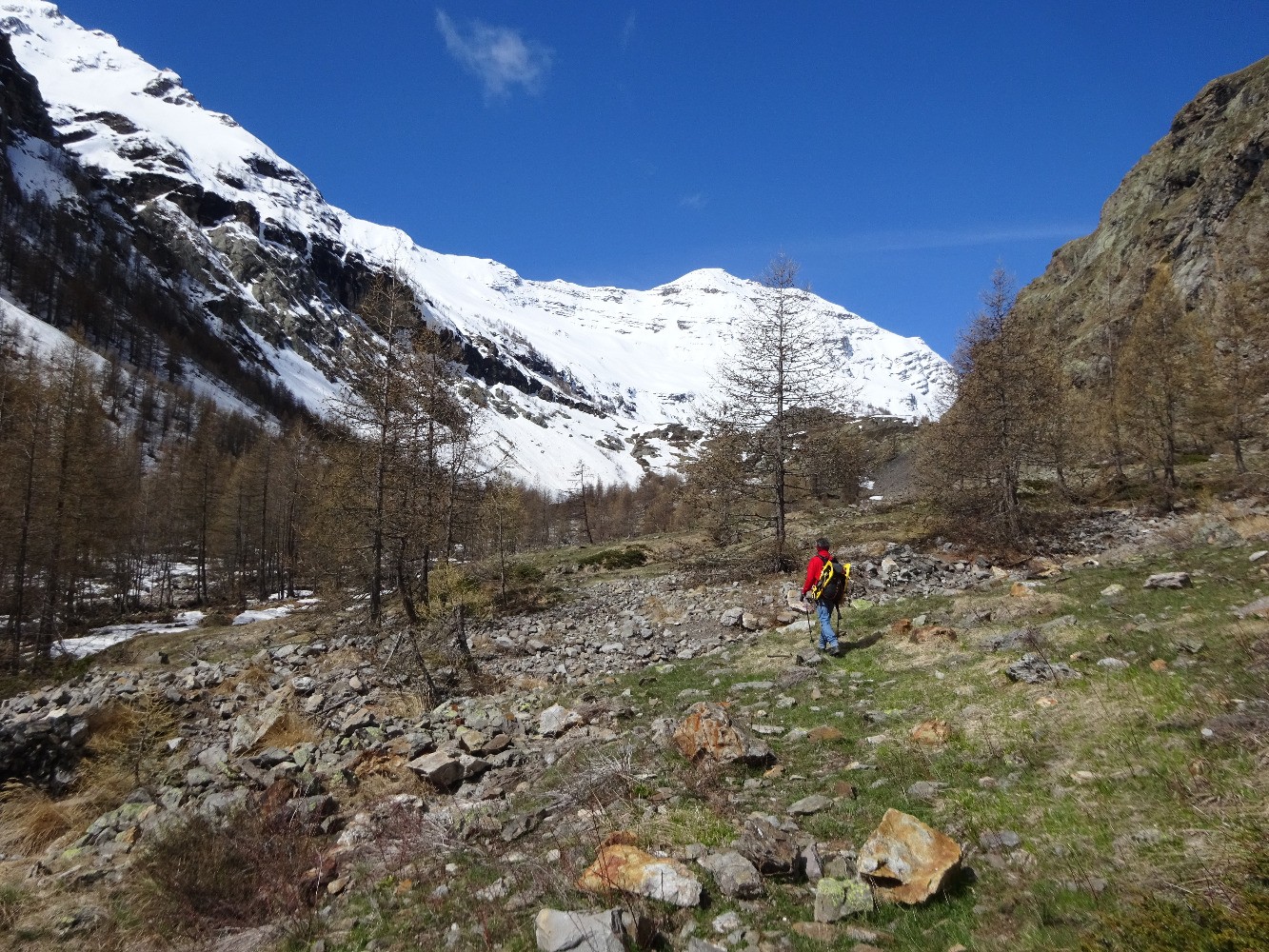 En rive gauche du torrent de Chichin vers 1860 mÃ¨tres