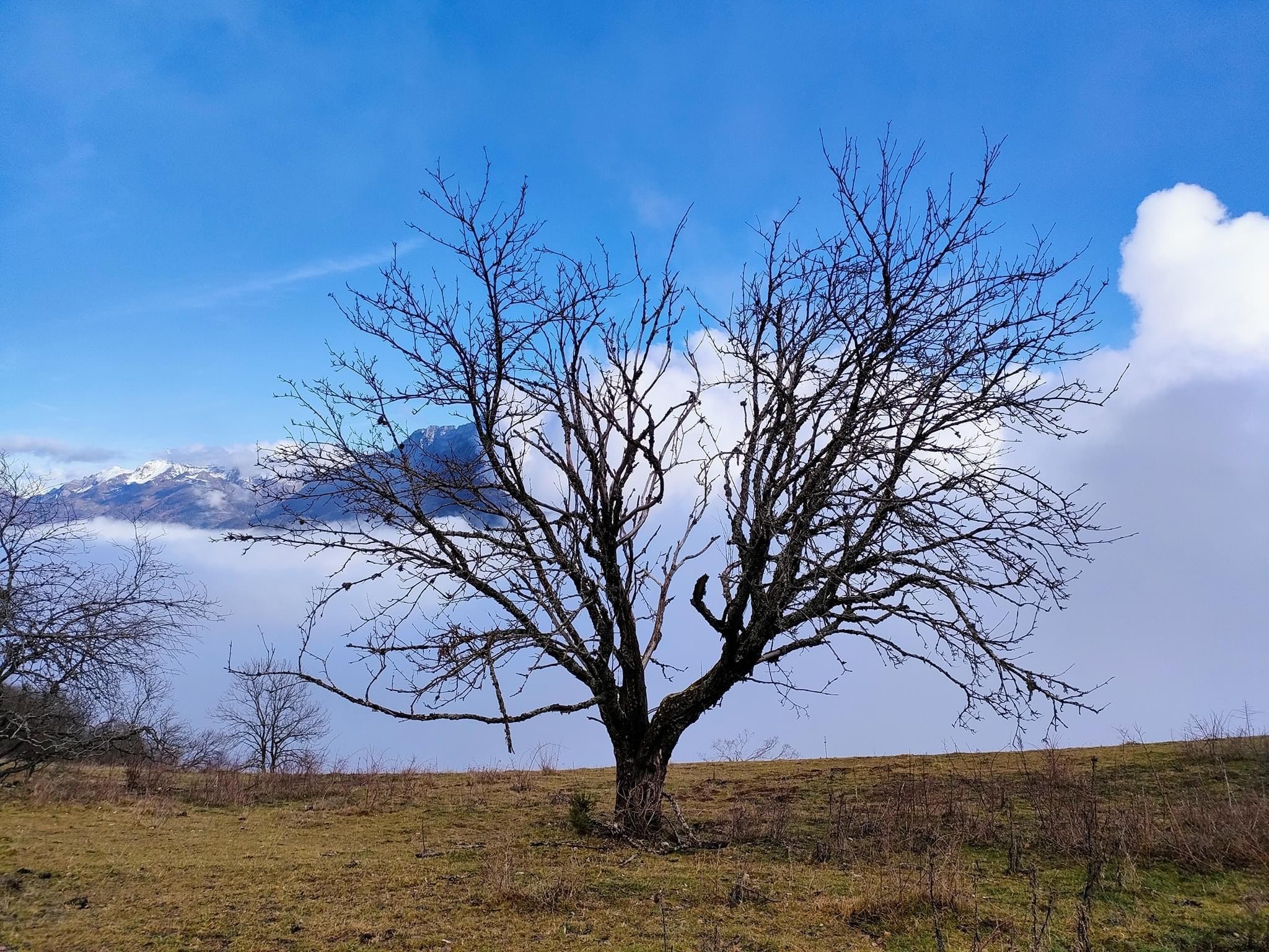En montagne avec les vikings