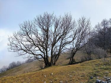 En montagne avec les vikings