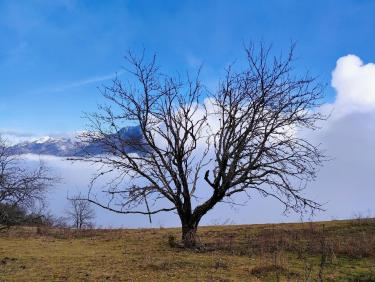 En montagne avec les vikings