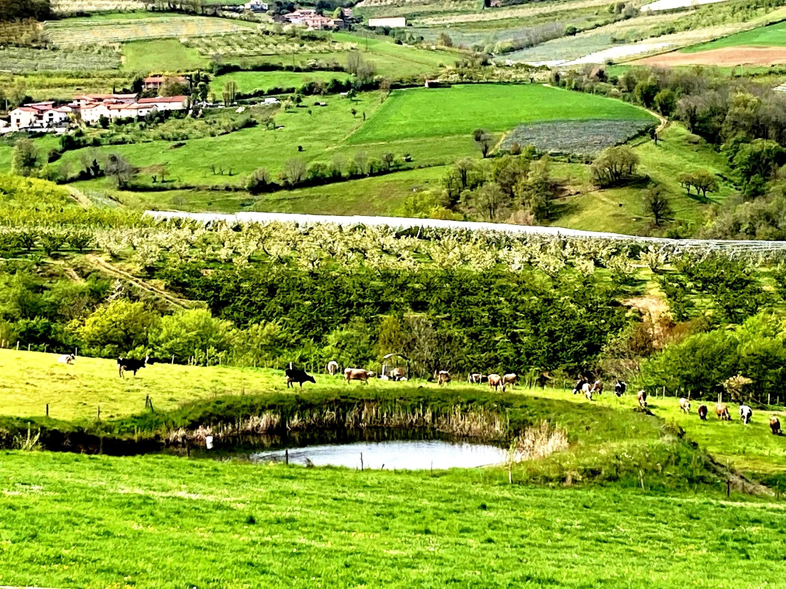 En remontant rive droite de la Durèze (vue arrière)