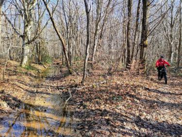En VTT dans les Chambaran