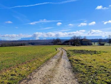 En VTT dans les Chambaran