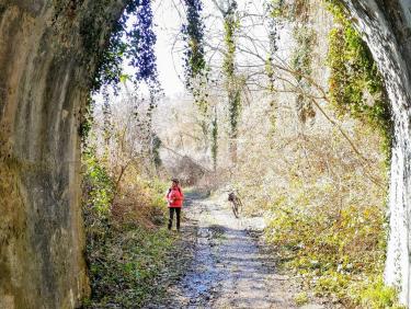 En VTT dans les Chambaran