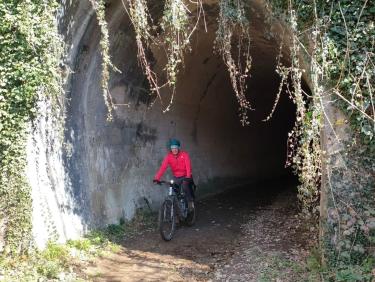 En VTT dans les Chambaran