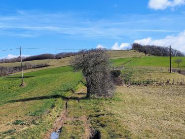 En VTT dans les Chambaran