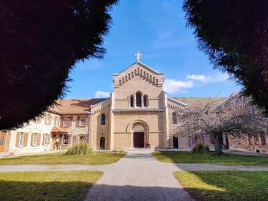 En VTT dans les Chambaran