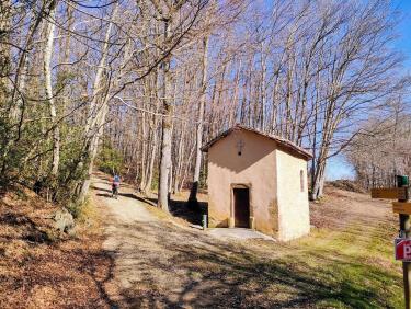 En VTT dans les Chambaran