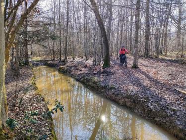 En VTT dans les Chambaran