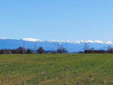 En VTT dans les Chambaran