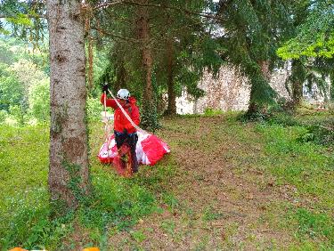 Pliage sous les sapins secs