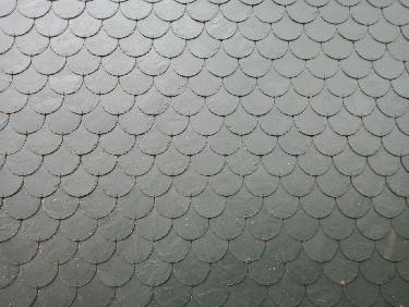 De la peau de dragon ?