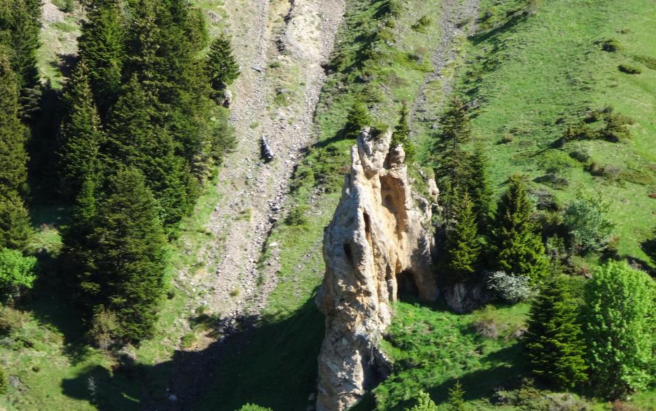 encore raté pour la photo de la mini-arche 