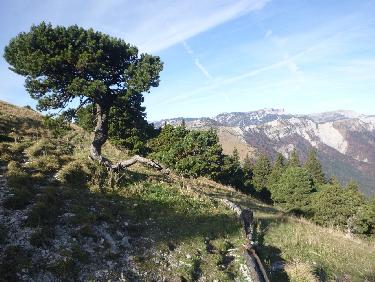 La fraÃ®cheur de la source de FreidiÃ¨re