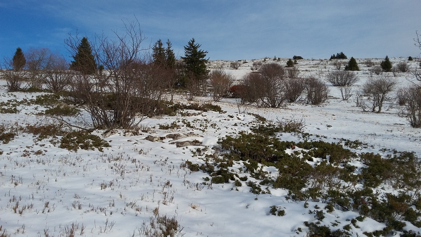 Enfin une rando dans la neige ! (Moucherotte par Lans)