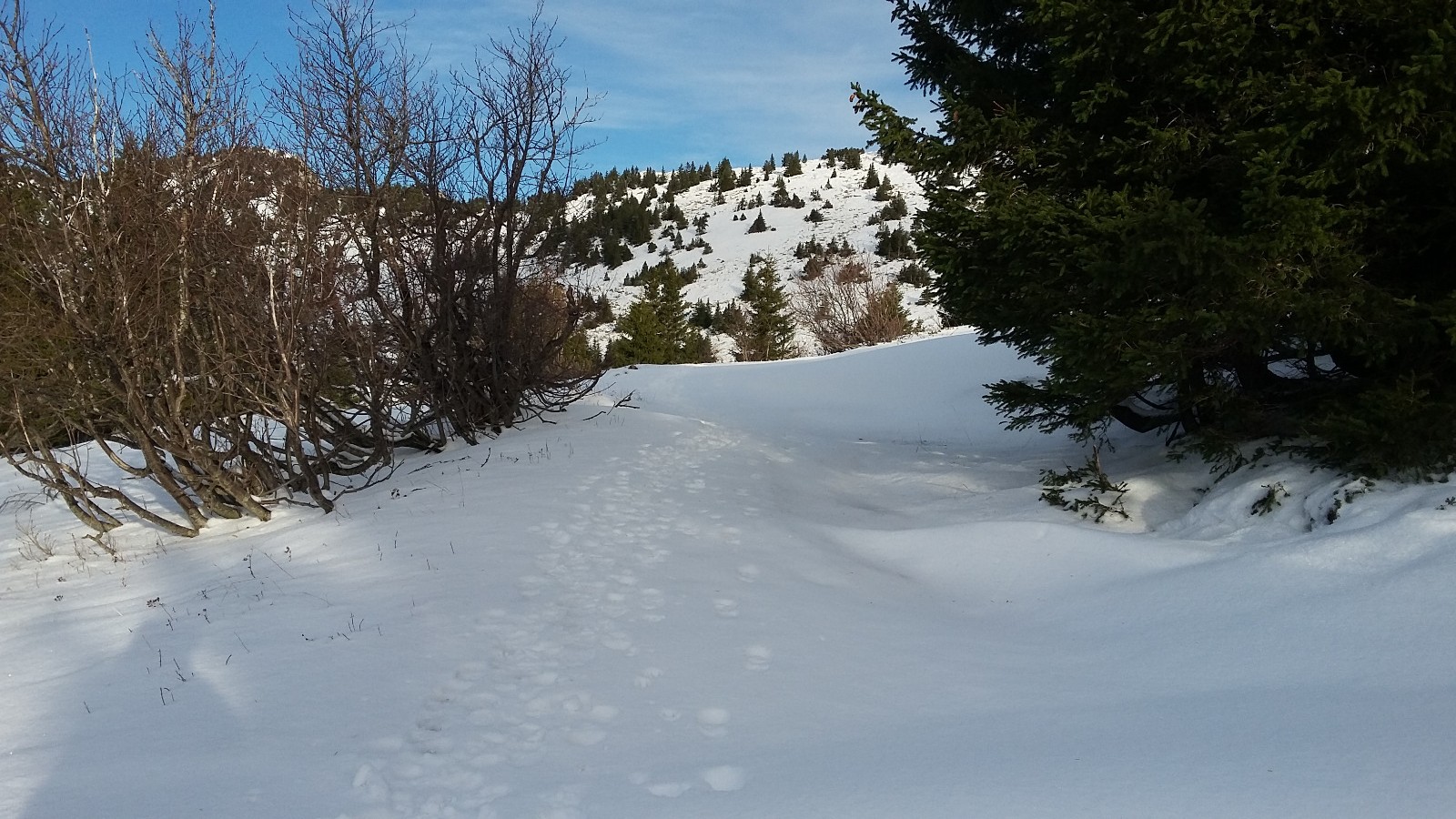 Enfin une rando dans la neige ! (Moucherotte par Lans)