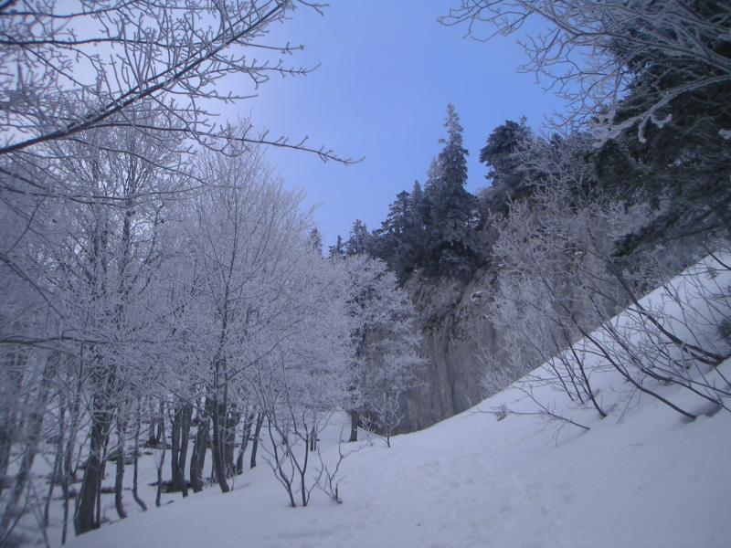enfin du bleu au dessus des arbres givrés