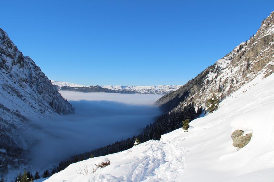 enfin un peu de soleil !