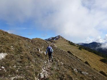 Entre le Rouchassou et le Duffre
