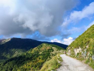 Entre ciel et fleurs 