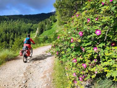 Entre ciel et fleurs 
