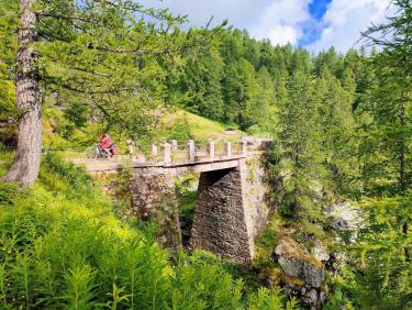 Entre ciel et fleurs 