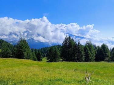 Entre ciel et fleurs 