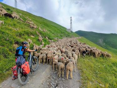 Entre ciel et fleurs 
