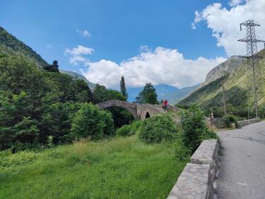 Entre ciel et fleurs 