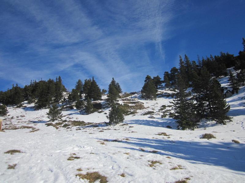 entre herbe et neige en haut