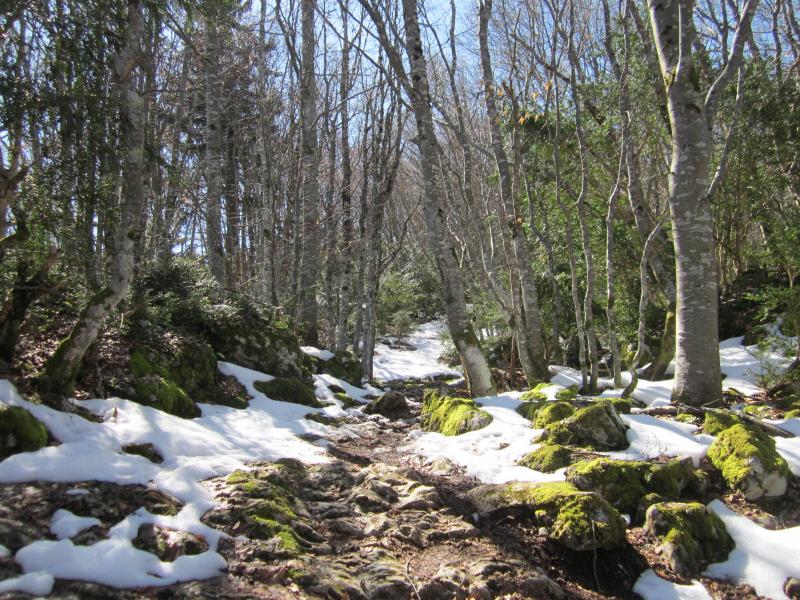 entre neige et boue