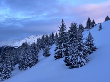 Trail dans l'après-midi