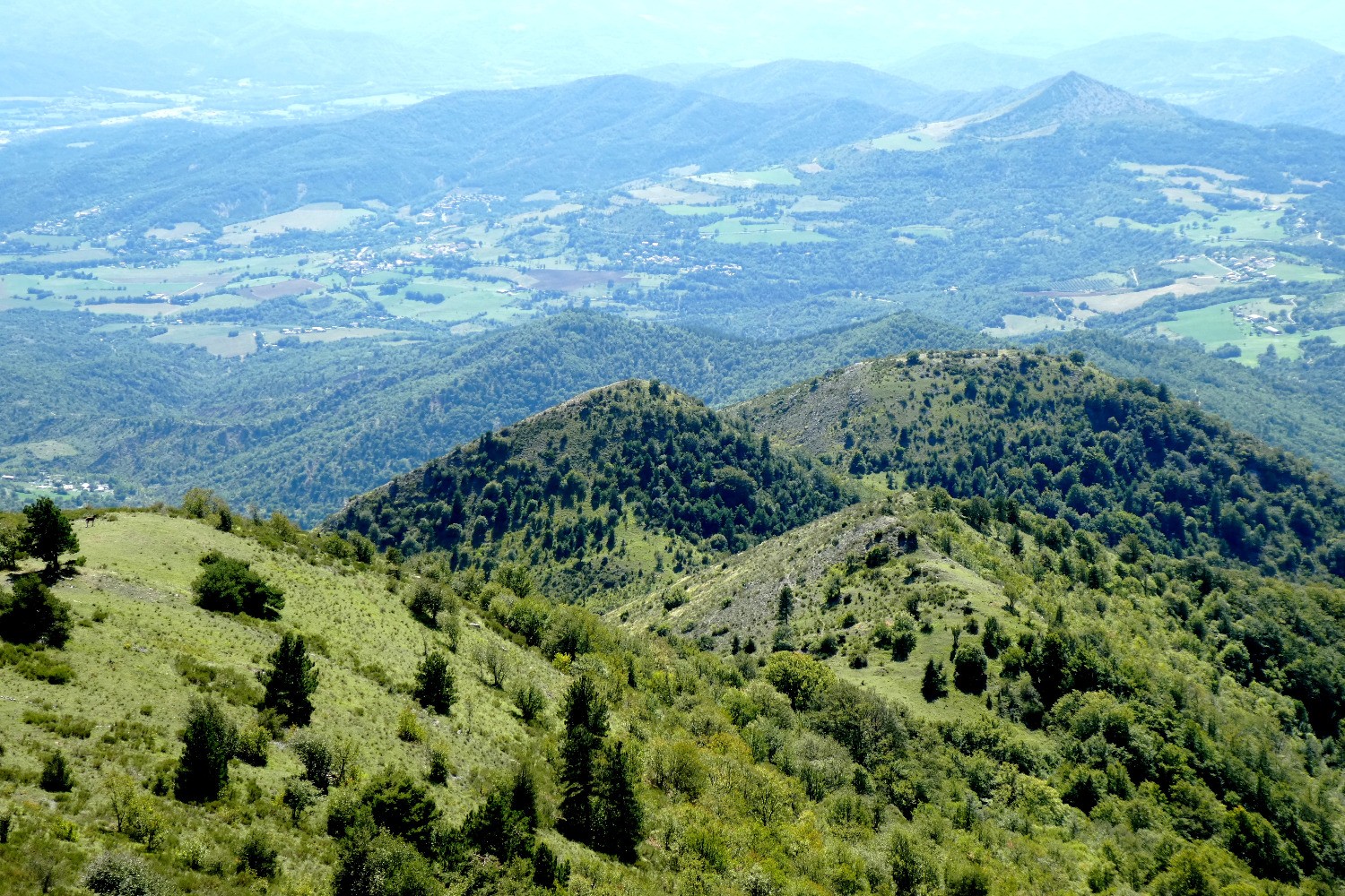 Epaule, croupe (GuÃ©ride), Colerette et Blache