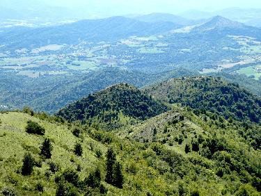 Epaule, croupe (GuÃ©ride), Colerette et Blache