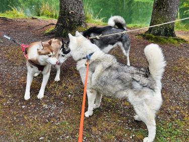 Sortie Nanouk aux Gaillands