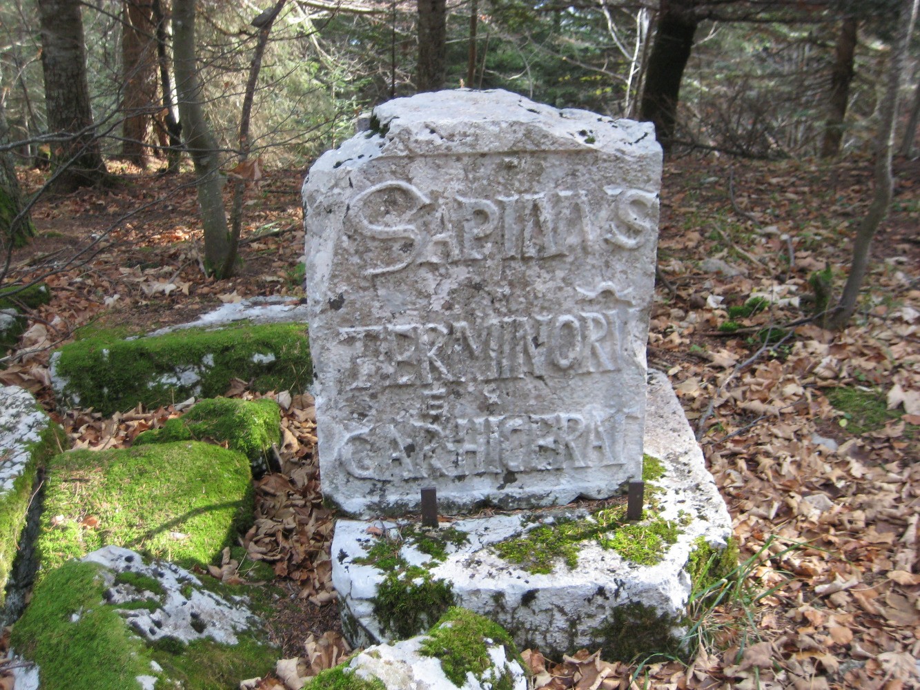 Errances et rave-party Ã  la crÃªte des Charmilles