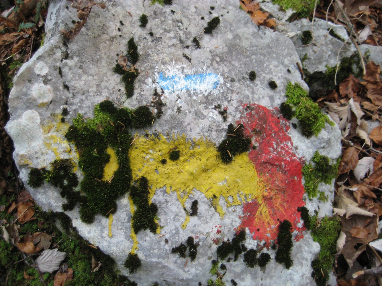 Errances et rave-party Ã  la crÃªte des Charmilles