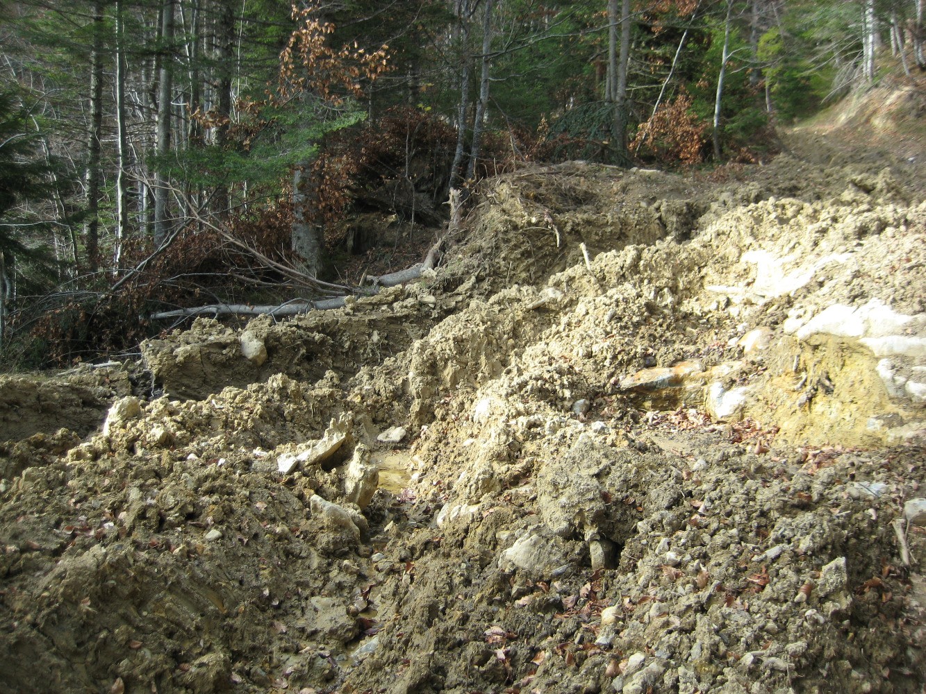 Errances et rave-party Ã  la crÃªte des Charmilles
