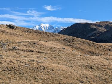 Essais toute nouvelle Pi ULS et Kode P