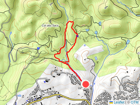 Estérel - Randonnée au Vallon de Barban, avec Thalie et Roméo 🐕