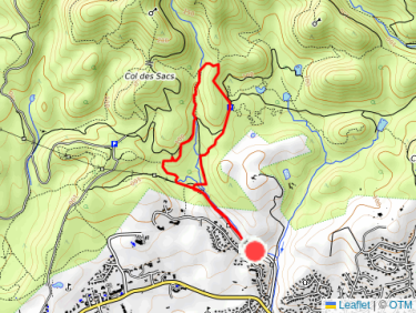 Estérel - Randonnée au Vallon de Barban, avec Thalie et Roméo 🐕