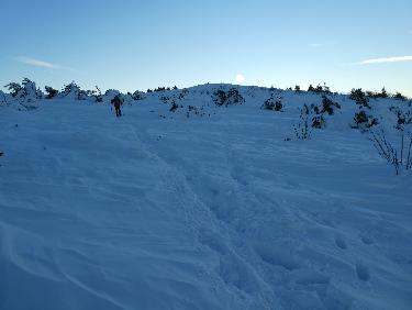 et revoilÃ  la blanche Perdrix