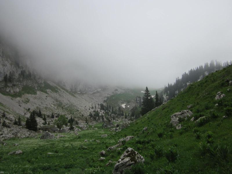 et encore brouillard à Mauvernay!