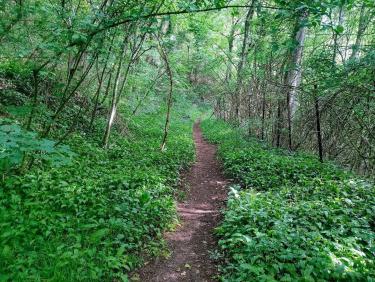 Et c&apos;est le but !