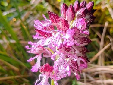 Et c&apos;est le but !