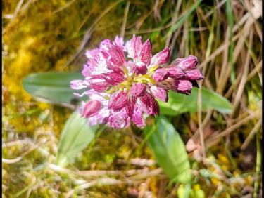 Et c&apos;est le but !