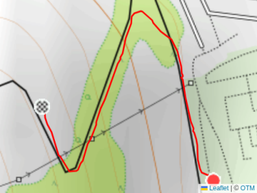 Evening Trail Run