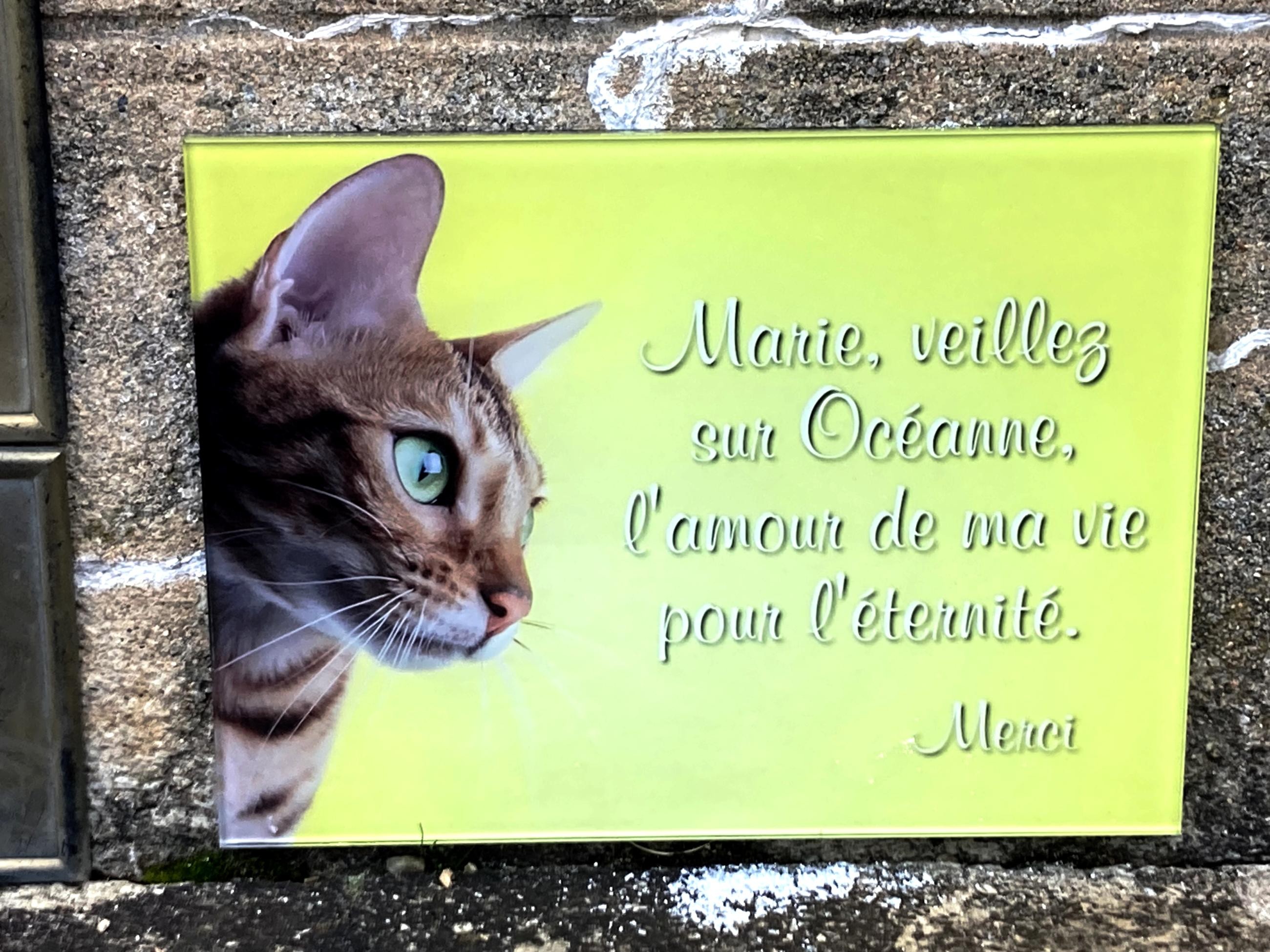 ex-voto au pied de la vierge