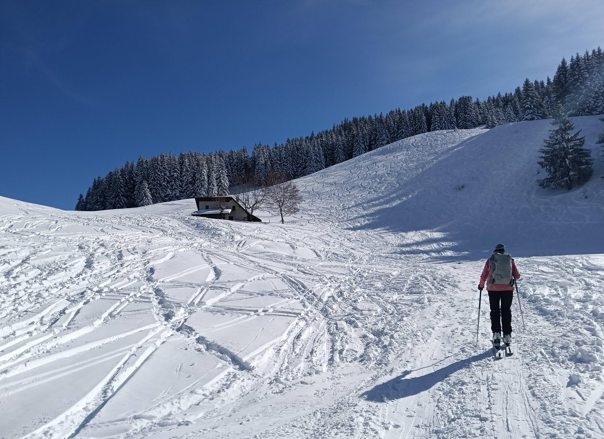 Excellente neige !